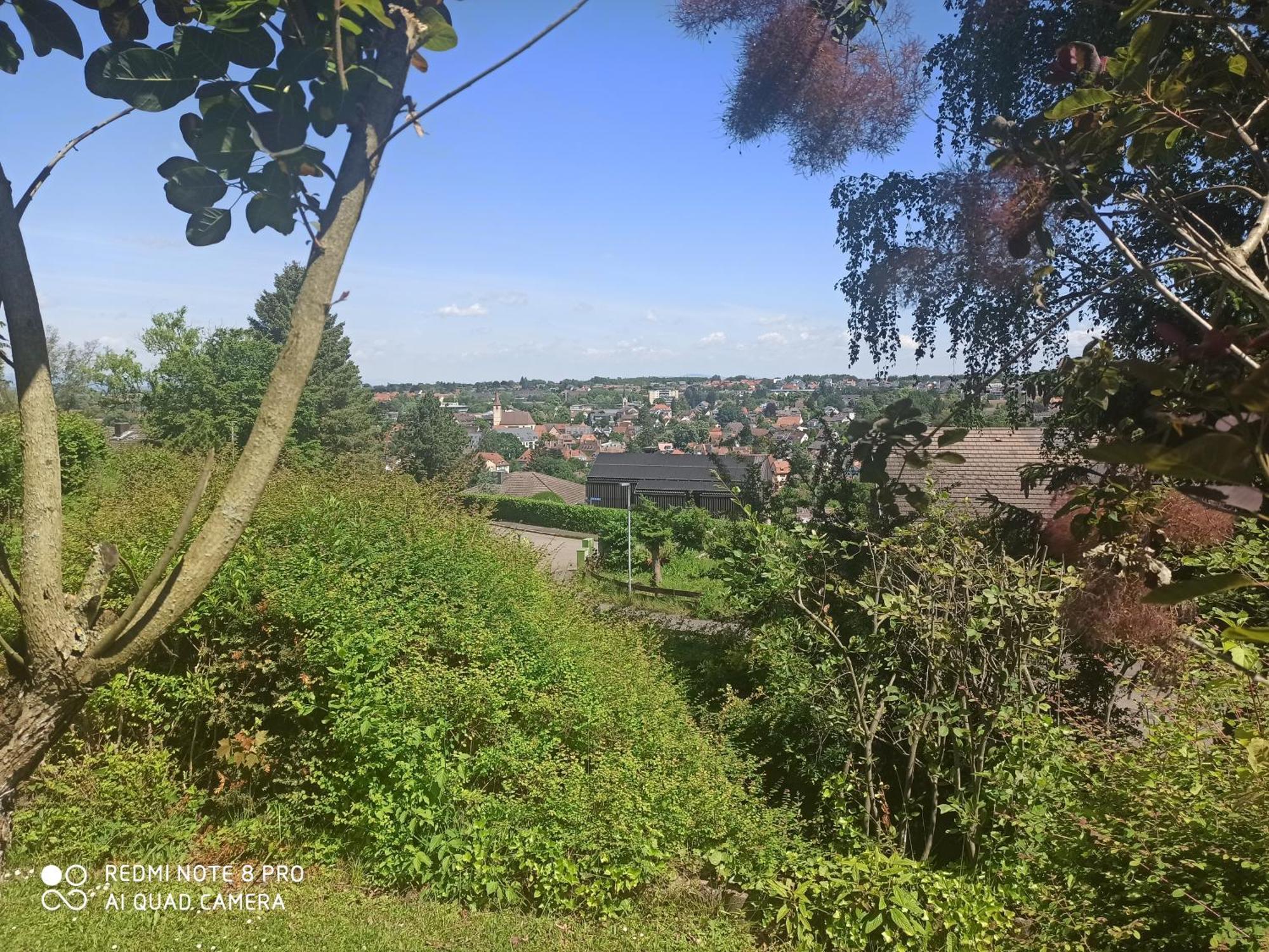 Appartamento Haus Roetebuck Mullheim  Esterno foto